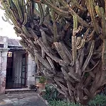 Casa Num 11 - Arquitectos
