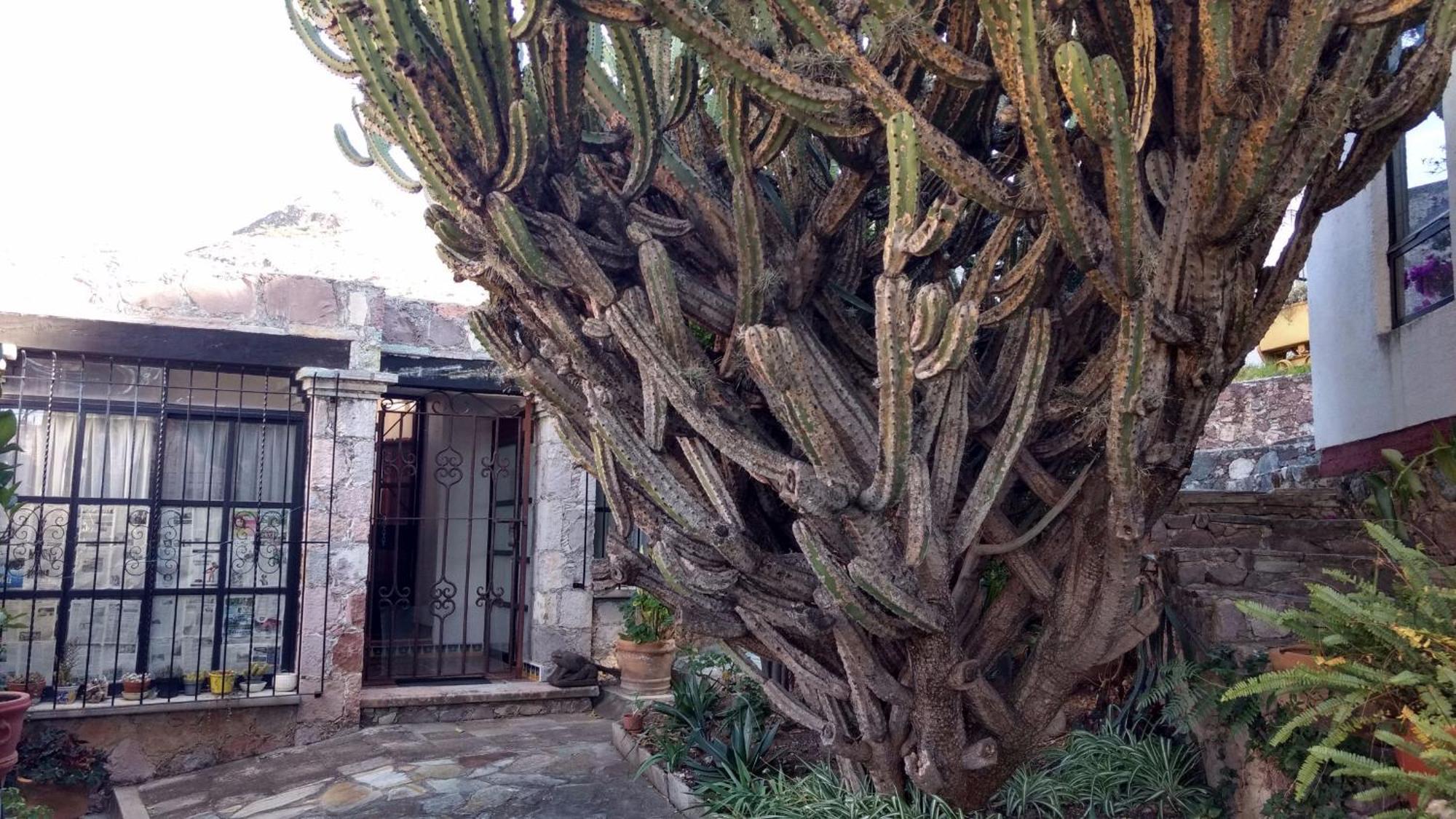 Pensión Casa Num 11 - Arquitectos *